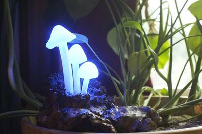 Glowing LED Mushroom Log Lamp