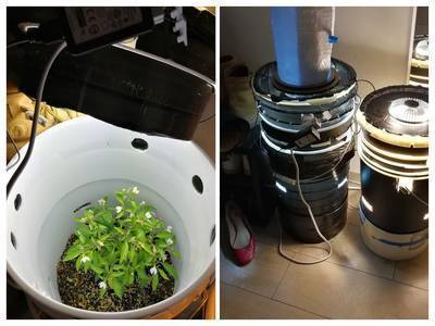 Grow Anything Grow Bucket for $50
