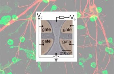 Quantum dot transistor simulates functions of neurons