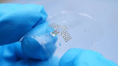 Biodegradable microsensors for food monitoring