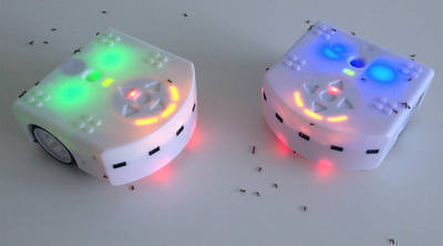 Robotic bugs train insects to be helpers
