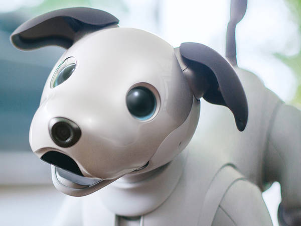 Sony’s Aibo robot dog is back, gives us OLED puppy dog eyes
