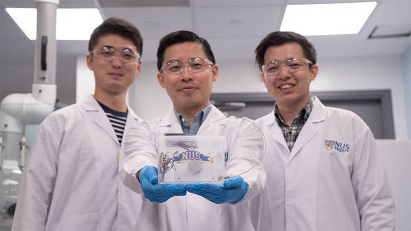 NUS scientists develop artificial photosynthesis device for greener ethylene production