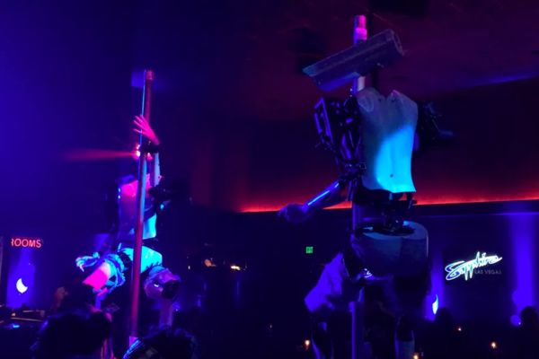 Here's the story behind the pole-dancing robots everyone's talking about at CES