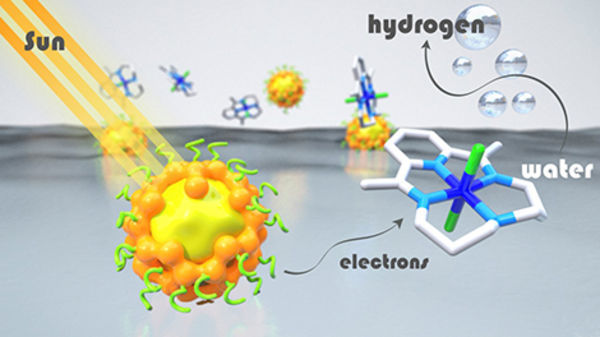 Cheaper, less toxic and recyclable light absorbers for hydrogen production