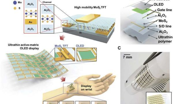 MoS2 transistor that can be used with bendable OLED displays