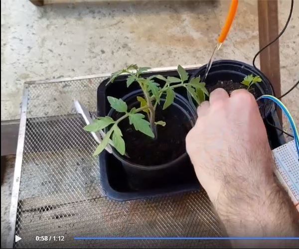 AUTOMATED WATERING SYSTEM  OF a GREENHOUSE