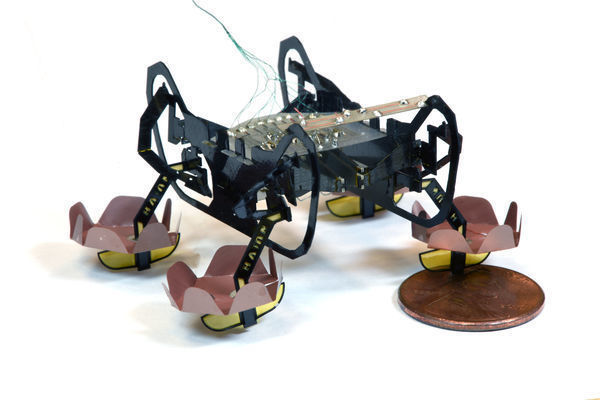Next-generation robotic cockroach can explore underwater environments