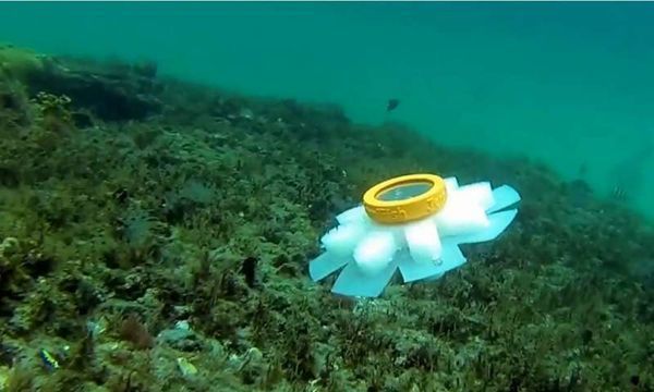 Meet the new guardians of the ocean - robot jellyfish