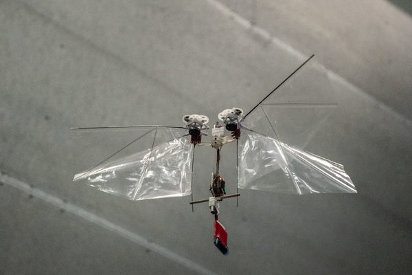 Novel flying robot mimics rapid insect flight