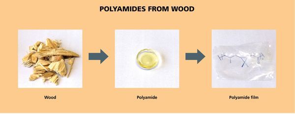 A transparent and thermally stable polyamide - 100 percent biobased