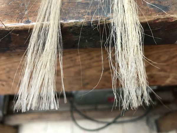 Adding graphene to jute fibres could give natural alternative to man-made materials