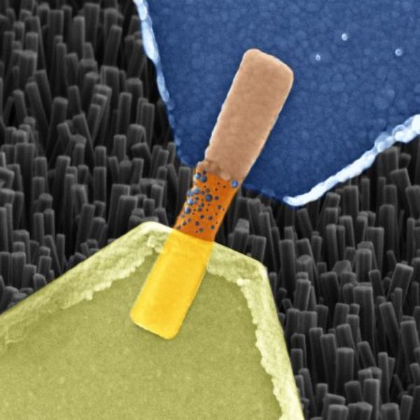 Artificial Synapses Made from Nanowires