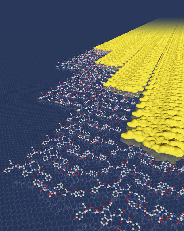 Two-dimensional materials skip the energy barrier by growing one row at a time