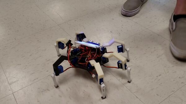 Hexapod Robot