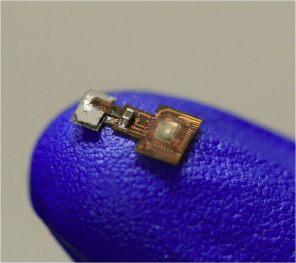 Magnet-controlled bioelectronic implant could relieve pain