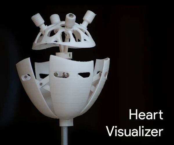 Heart Visualizer | See Your Heart Beat
