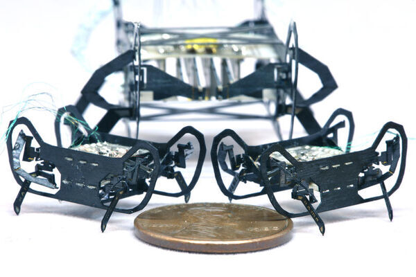 Next-generation cockroach-inspired robot is small but mighty