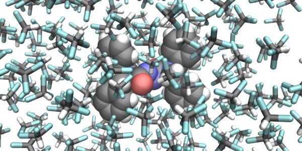 Researchers create a photographic film of a molecular switch