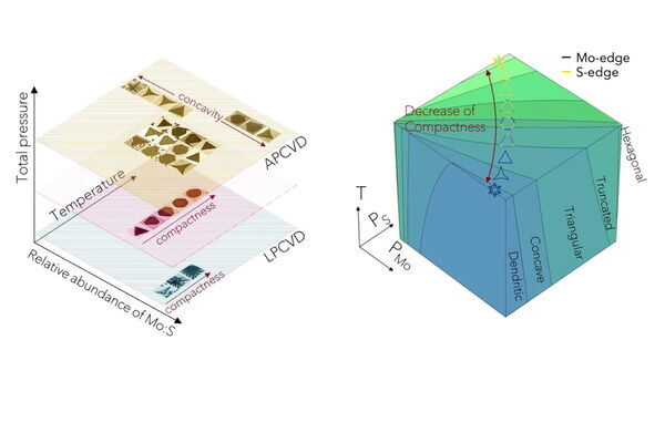 Mapping crystal shapes could fast-track 2D materials