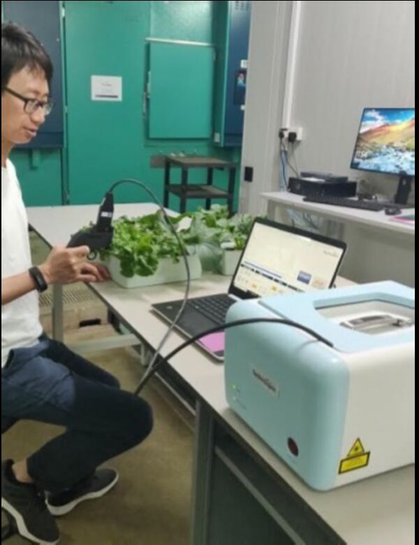 Portable device can quickly detect plant stress