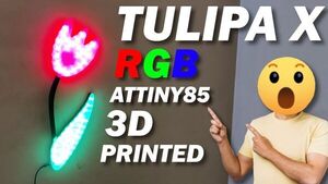 Tulipa x RGB Edition