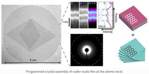 Programmed assembly of wafer-scale atomically thin crystals
