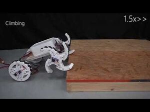 OmniWheg: An Omnidirectional Wheel-Leg Transformable Robot