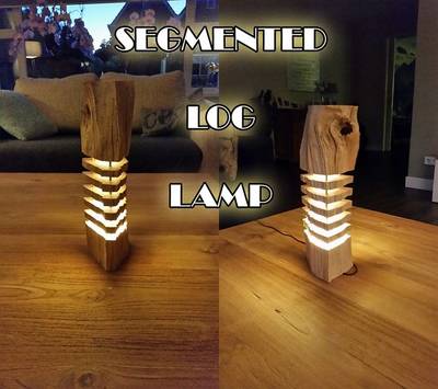 Segmented Log Lamp