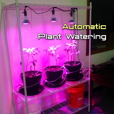 Automatic Plant Watering System with Arduino