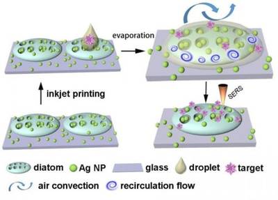 New 'optofluidic' technology taps power of diatoms to improve sensor performance