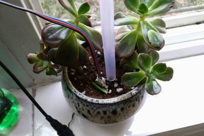 ESP8266 Tutorial: Build an Automatic Plant Watering System
