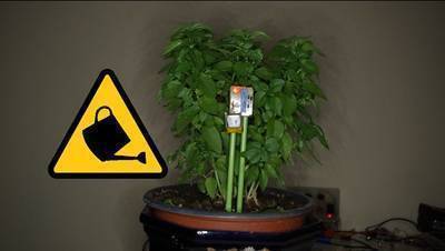 Plant Watering Warning