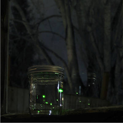 Jar of Fireflies