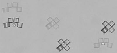 Microbot Origami Can Capture, Transport Single Cells
