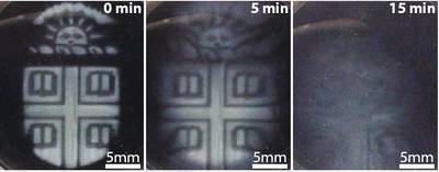 Researchers develop 3-D-printed biomaterials that degrade on demand