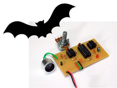 Building a Circuit to Detect High Frequencies: The Bat Detector!