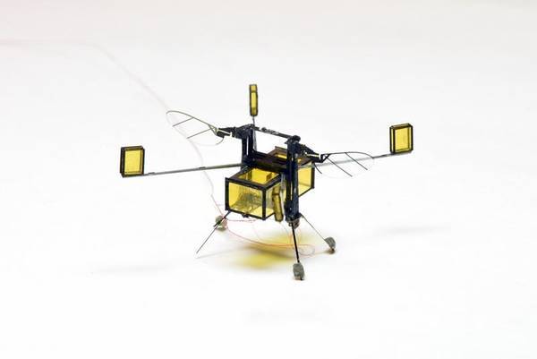 New RoboBee flies, dives, swims, and explodes out the of water