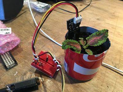 Internet of Dirt: a Texting Plant