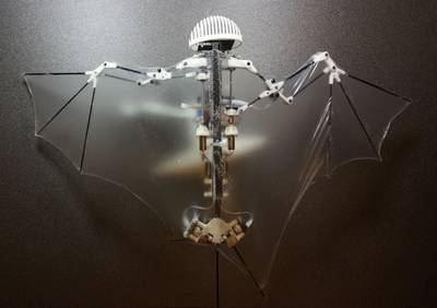 Engineers Build Robot Drone That Mimics Bat Flight