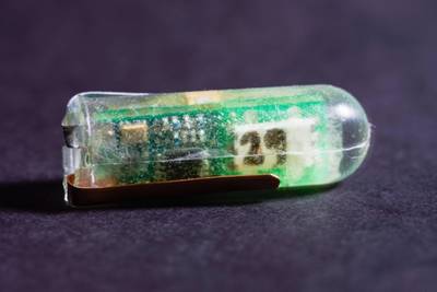 Engineers harness stomach acid to power tiny sensors