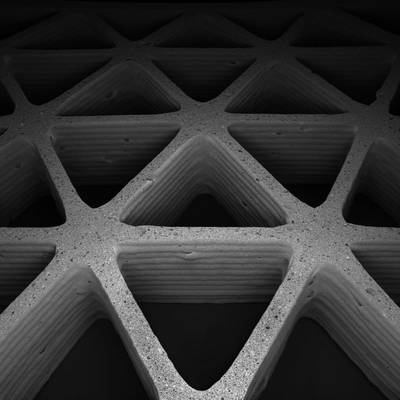 Mimicking nature’s cellular architectures via 3D printing