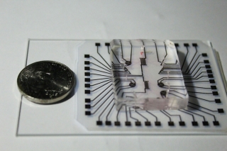 Scientists develop ‘lab on a chip’ that costs 1 cent to make