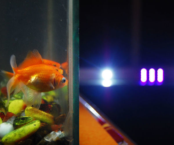 Automated LED Lighting for Planted Aquarium Using RTC