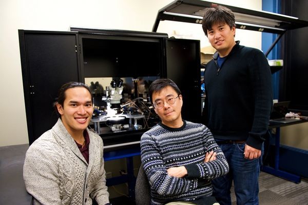 Engineers design artificial synapse for 