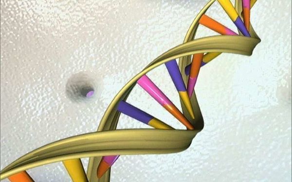Breakthrough leads to sequencing of a human genome using a pocket-sized device