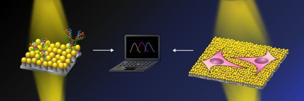 Nanomushroom Sensors: One Material, Many Applications