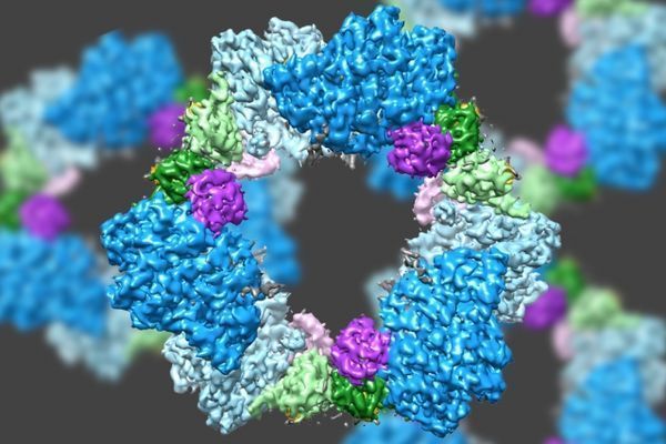 Scientists deliver high-resolution glimpse of enzyme structure