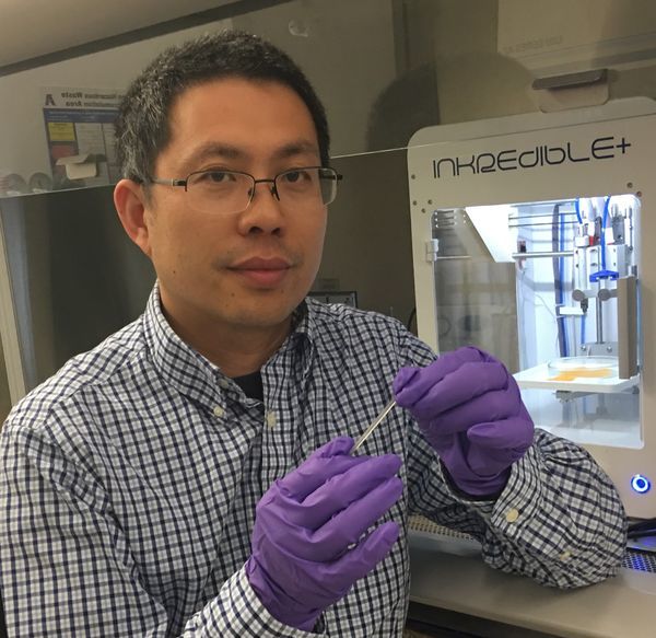 UTA researchers develop highly elastic biodegradable hydrogel for bio-printing of new tissues