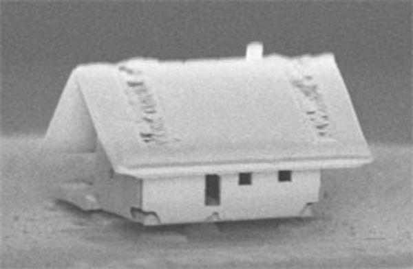 Robotic Assembly of the World's Smallest House -- Even A Mite Doesn't Fit Through the Door!